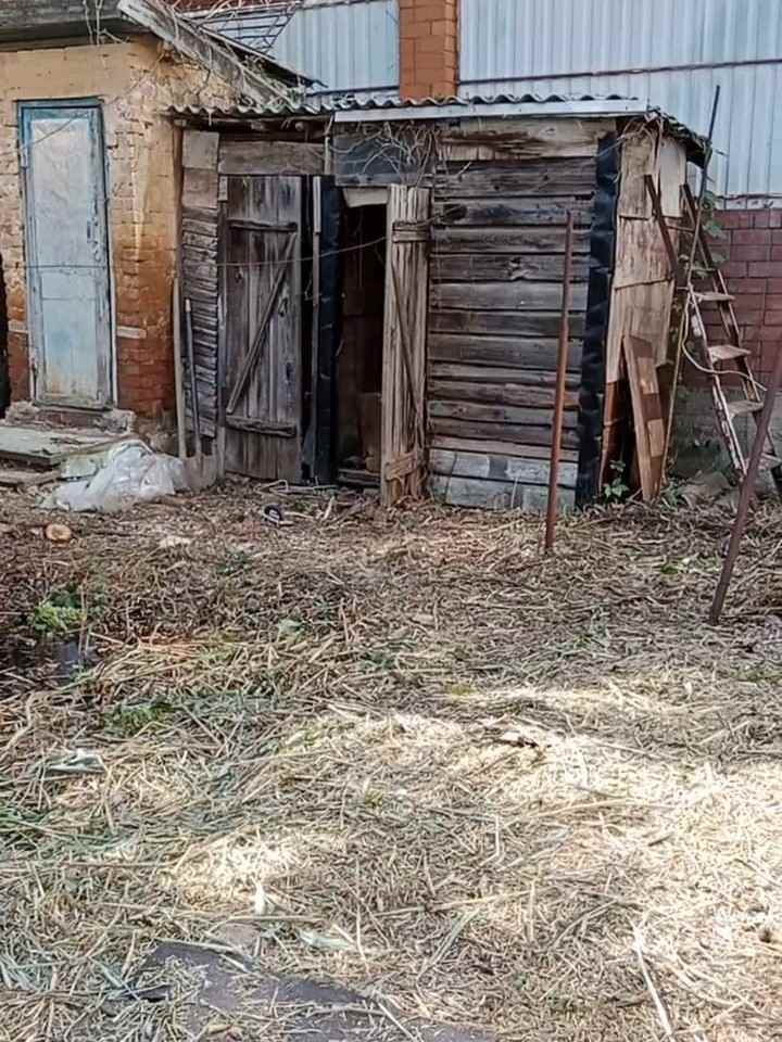 Фото участка после расчистки от сорняка